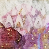 Beauty Through a Filter