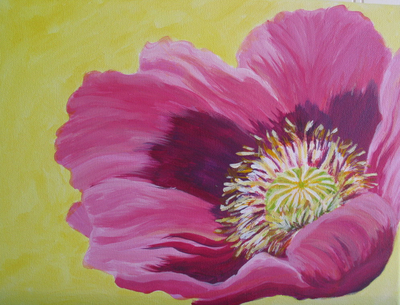 Pink Poppy2