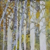 Through the Birch Trees 2